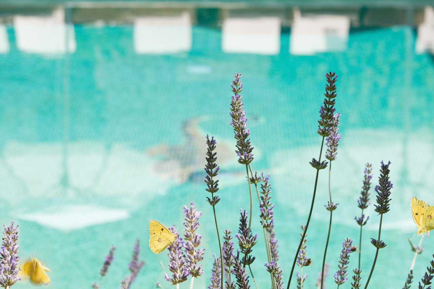 Hotel Apartament Sa Tanqueta De Fornalutx - Adults Only Eksteriør bilde